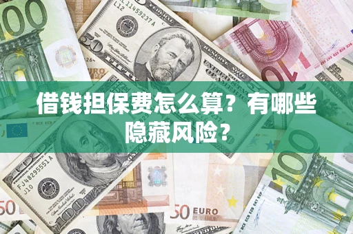 武汉借钱担保费怎么算？有哪些隐藏风险？