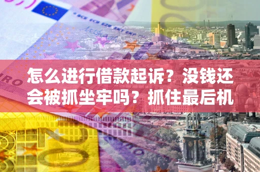 武汉怎么进行借款起诉？没钱还会被抓坐牢吗？抓住最后机会！