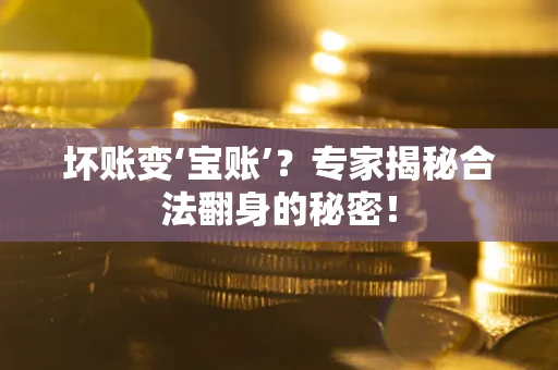 武汉坏账变‘宝账’？专家揭秘合法翻身的秘密！