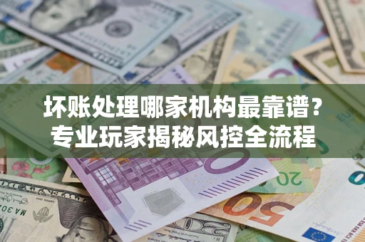 武汉坏账处理哪家机构最靠谱？专业玩家揭秘风控全流程