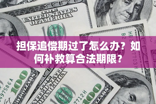 武汉担保追偿期过了怎么办？如何补救算合法期限？