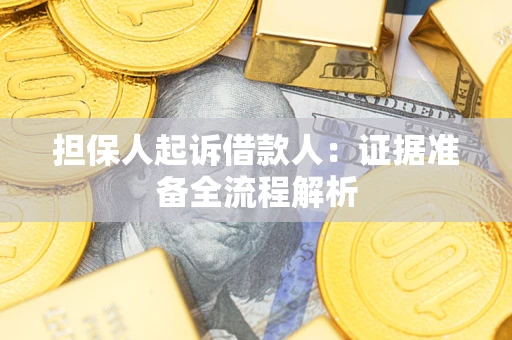 武汉担保人起诉借款人：证据准备全流程解析
