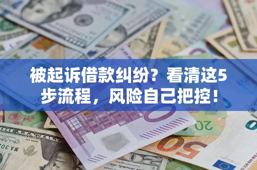 武汉被起诉借款纠纷？看清这5步流程，风险自己把控！