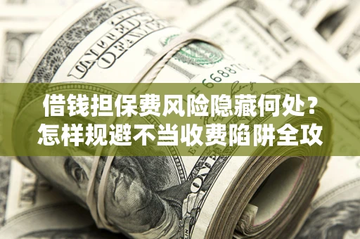 武汉借钱担保费风险隐藏何处？怎样规避不当收费陷阱全攻略！